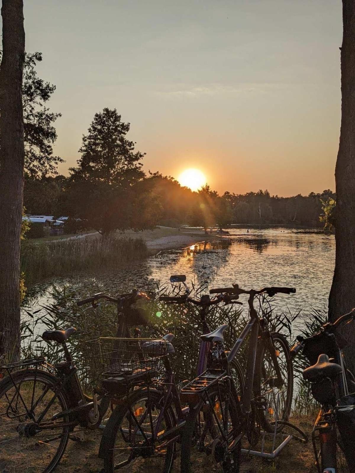 Вілла Gruener Bungalow Am Kiebitzsee Falkenberg/Elster Екстер'єр фото