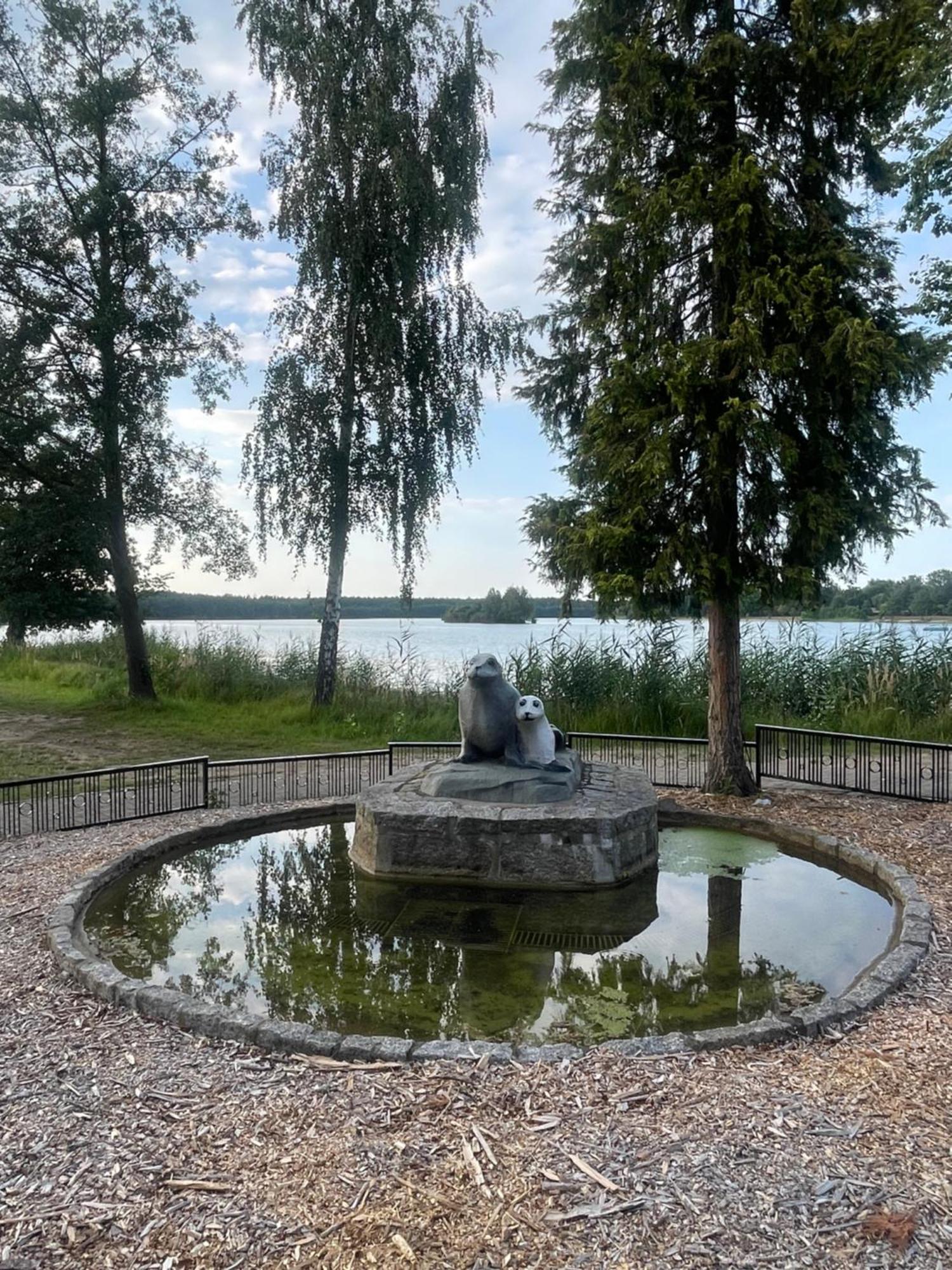 Вілла Gruener Bungalow Am Kiebitzsee Falkenberg/Elster Екстер'єр фото