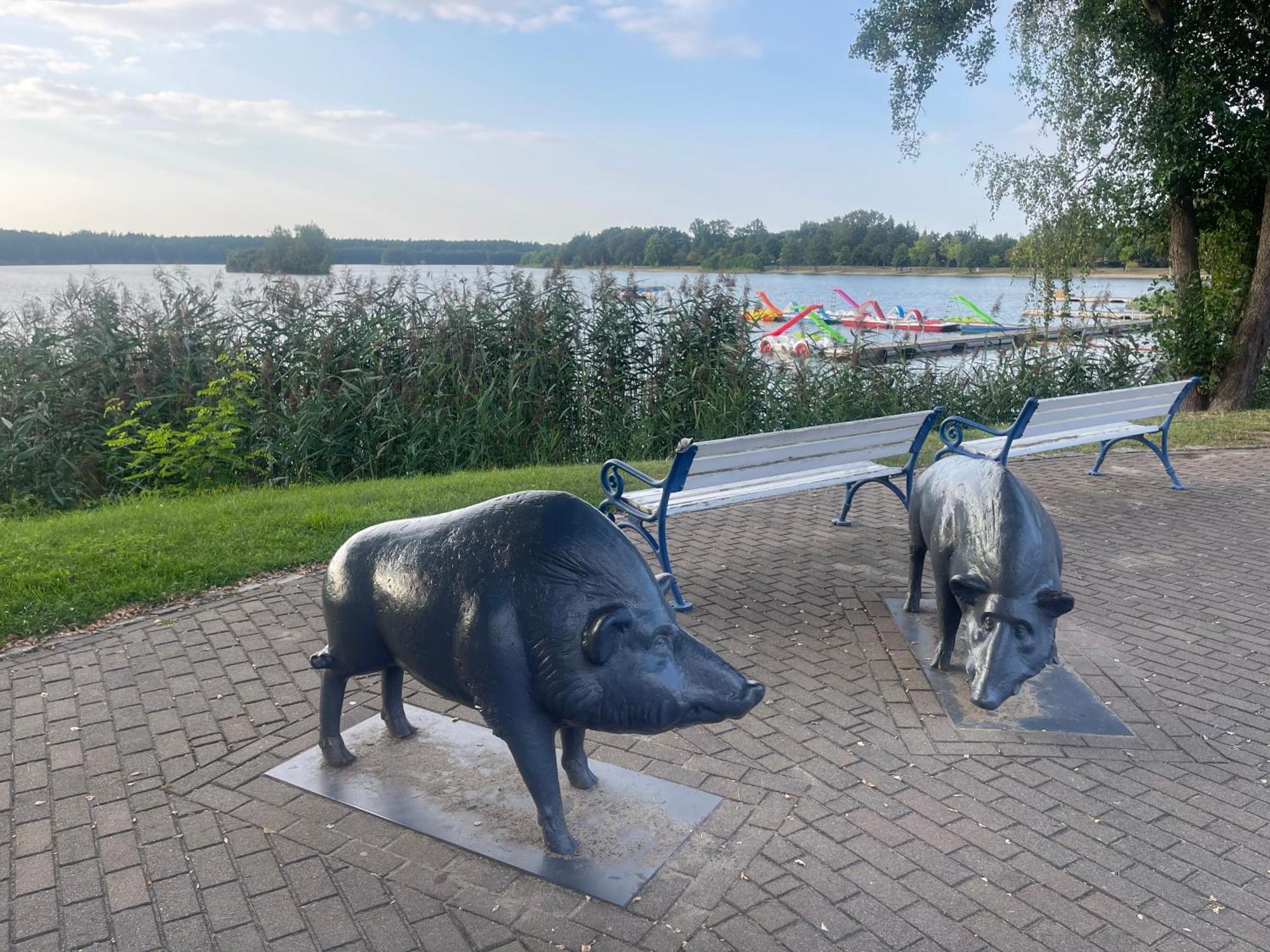 Вілла Gruener Bungalow Am Kiebitzsee Falkenberg/Elster Екстер'єр фото